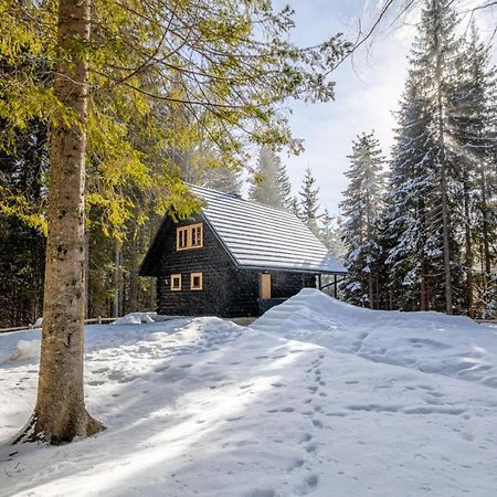 Cosy Lodge Pokljuka Goreljek Kültér fotó