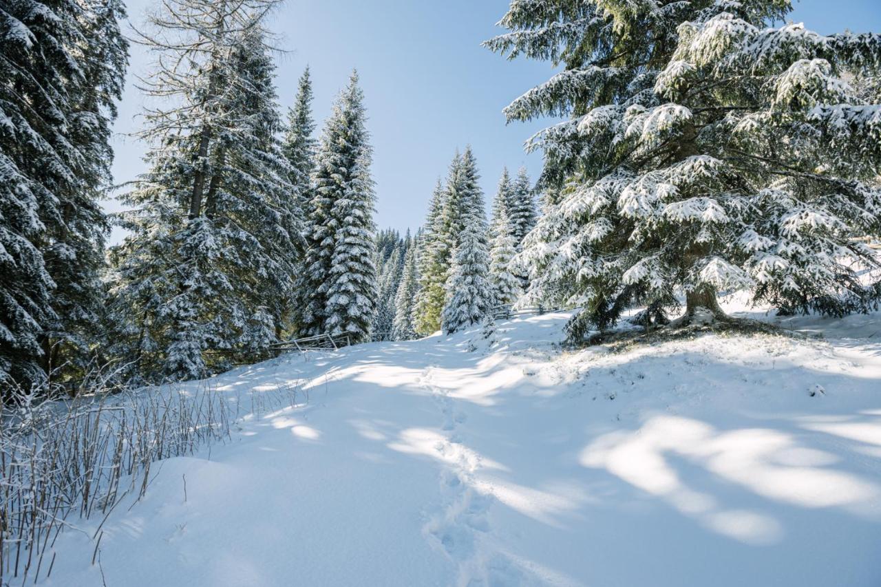 Cosy Lodge Pokljuka Goreljek Kültér fotó