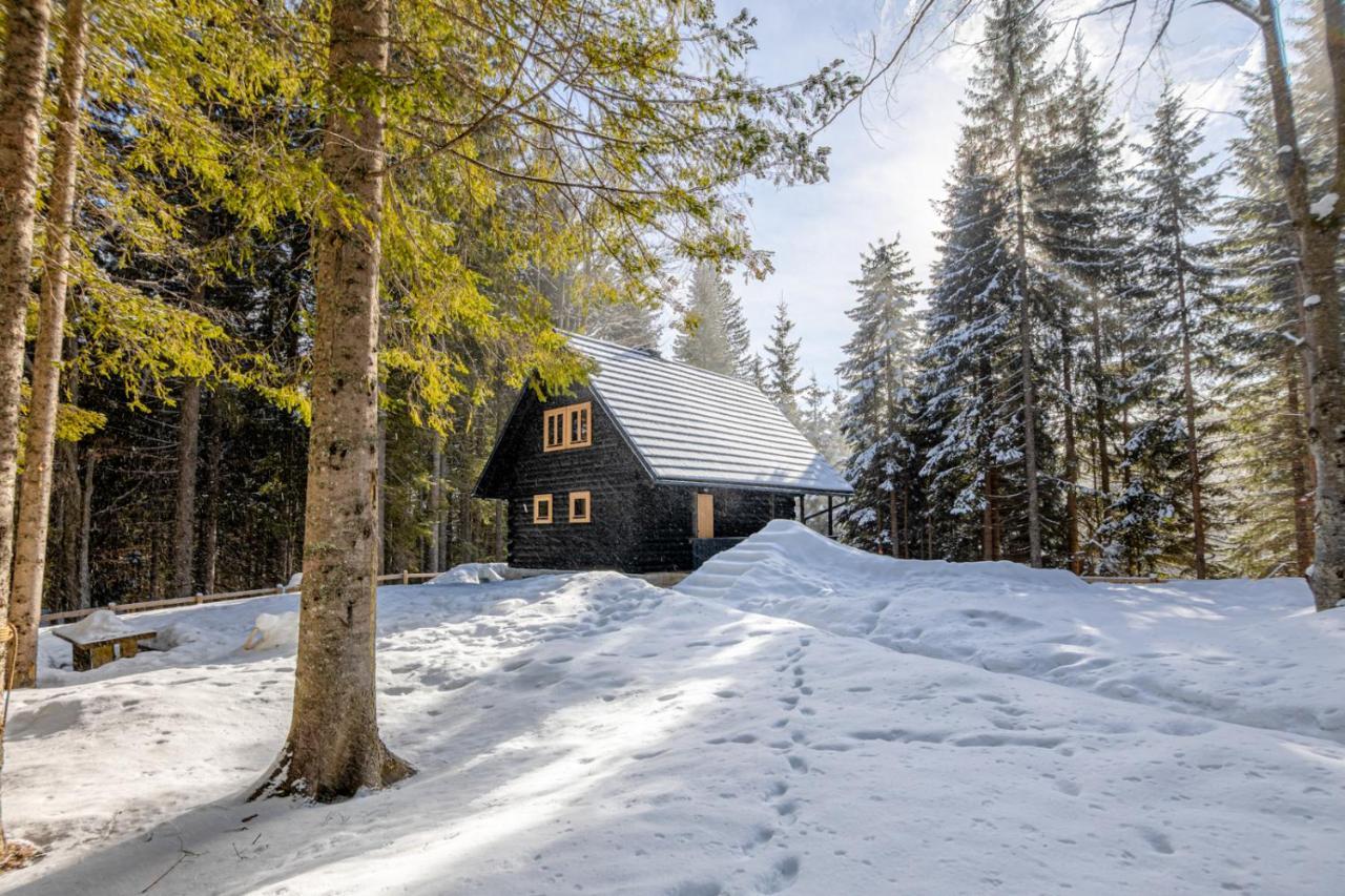 Cosy Lodge Pokljuka Goreljek Kültér fotó