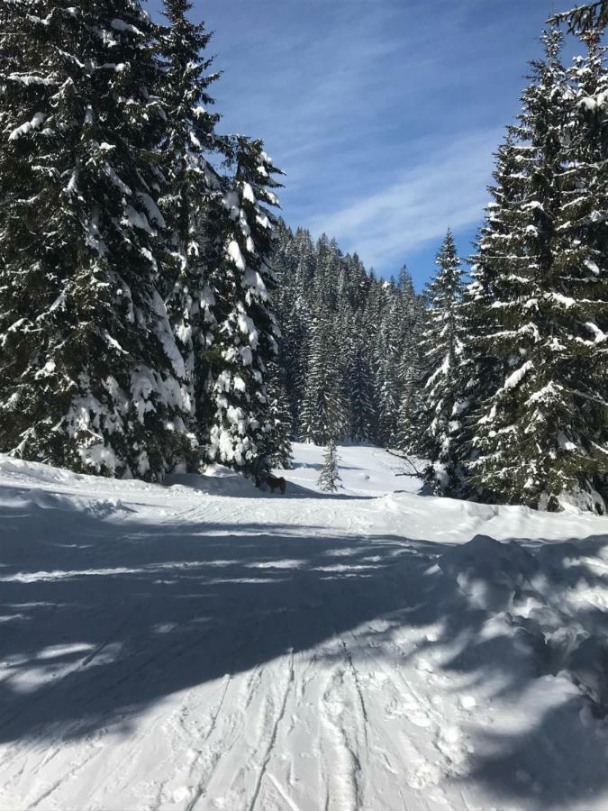 Cosy Lodge Pokljuka Goreljek Kültér fotó